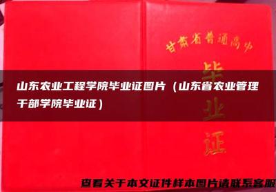 山东农业工程学院毕业证 见证转型与成长的文化符号